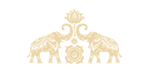 elefanten-logo-sinnverbindungen